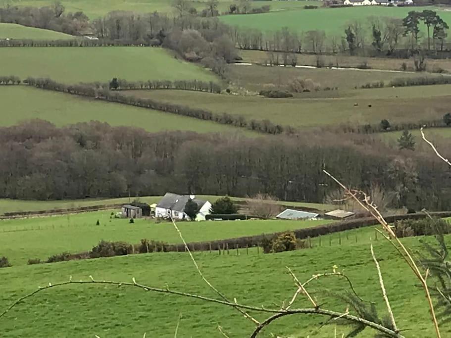 Stunning Shepherds Hut Rural Bliss 邓弗里斯 外观 照片
